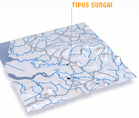 3d view of Sungai Tipus